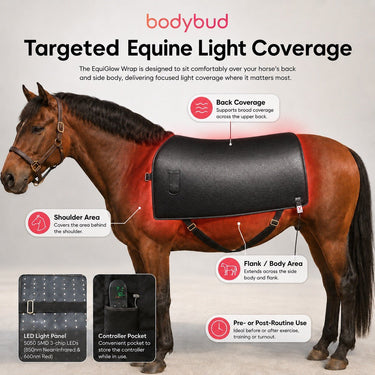 bodybud™ EquiGlow Wrap - bodybud | bodybud UK