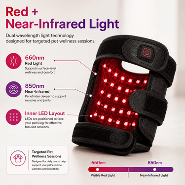 bodybud⢠PetGlow Leg Wrap - bodybud | bodybud UK