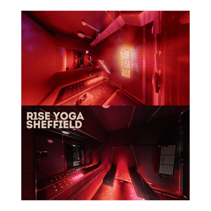 bodybud™ Mega NIR Red Light Wall | bodybud UK