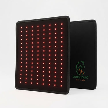 bodybud PetGlow Red & NIR Light Pad Set – Dogs