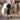 OMI™ PEMF Front Leg Wrap for Horses - OMI | bodybud UK