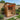 Insignia™ 4 Person Chromo Hybrid Garden Sauna Cabin - Garden Sauna - Insignia Saunas | bodybud UK