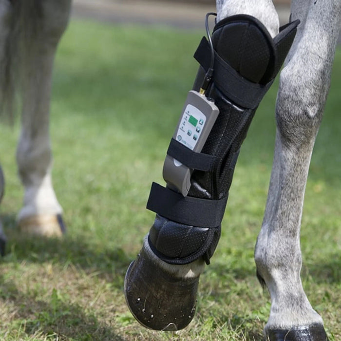 OMI PEMF Horse Package | bodybud UK