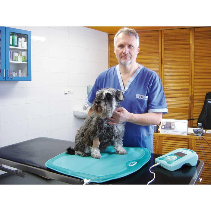 PEMF Therapy Mat for Dogs UK | What It Is and Why So Important - bodybud