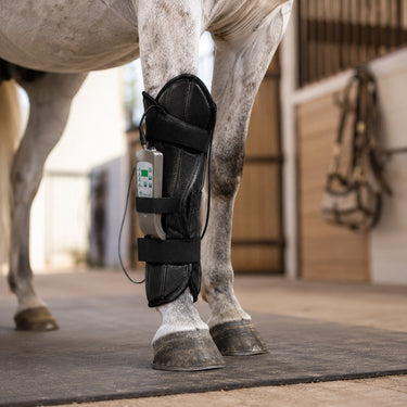 OMI™ PEMF Front Leg Wrap for Horses