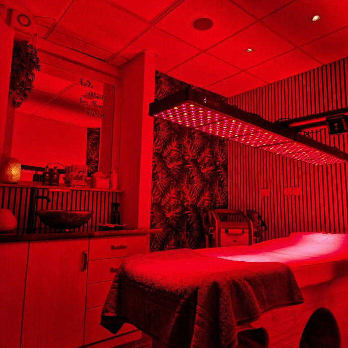 bodybud™ Mega NIR Red Light Wall - BodyBud™ Red Lights | bodybud UK