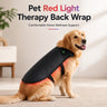 bodybud™ PetGlow Body Wrap - bodybud | bodybud UK
