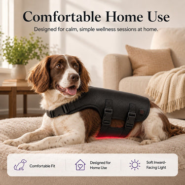 bodybud™ PetGlow Body Wrap - bodybud | bodybud UK