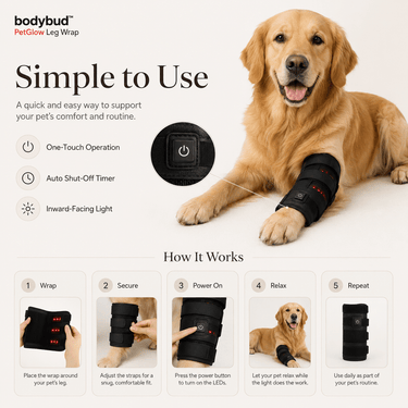 bodybud™ PetGlow Leg Wrap - bodybud | bodybud UK