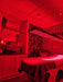 bodybud™ Mega NIR Red Light Wall | bodybud UK