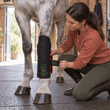 bodybud PetGlow Red & NIR Light Pad Set – Horses