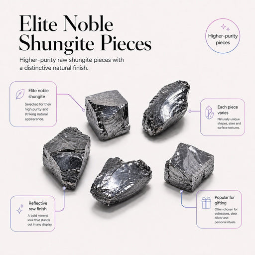 Elite Noble Shungite Stones (Set of 5) - BodyBud™ Shungite | bodybud UK