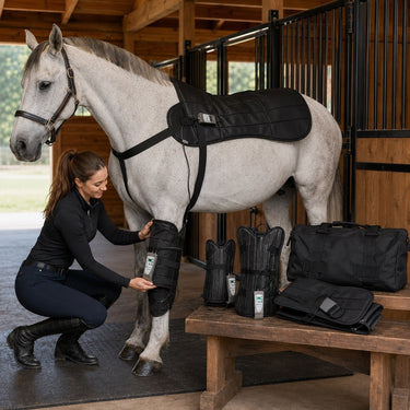 OMI PEMF Horse Complete Pack - OMI | bodybud UK