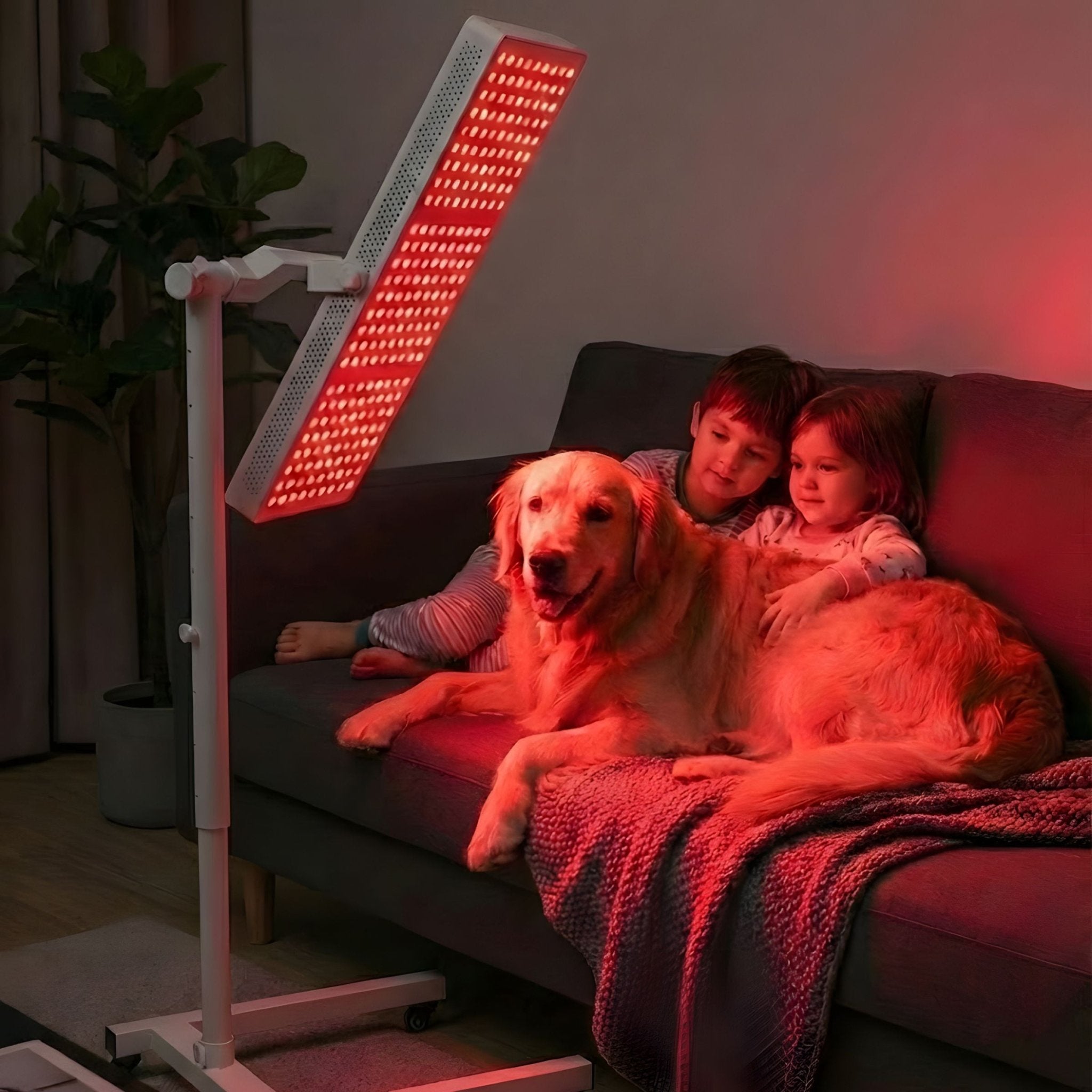 Red Light Panel with NIR + Blue | High Irradiance + Easy Cooling