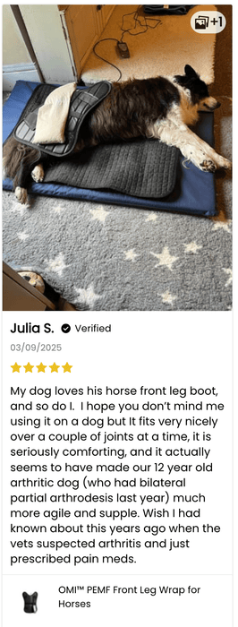 OMI™ PEMF Front Leg Wrap for Horses | OMI | bodybud UK