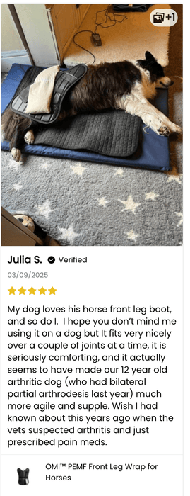 OMI™ PEMF Rear Leg Wrap for Horses | OMI | bodybud UK