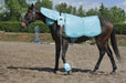 Biomag PEMF Lumina Vet Comfort (Equine) | bodybud UK