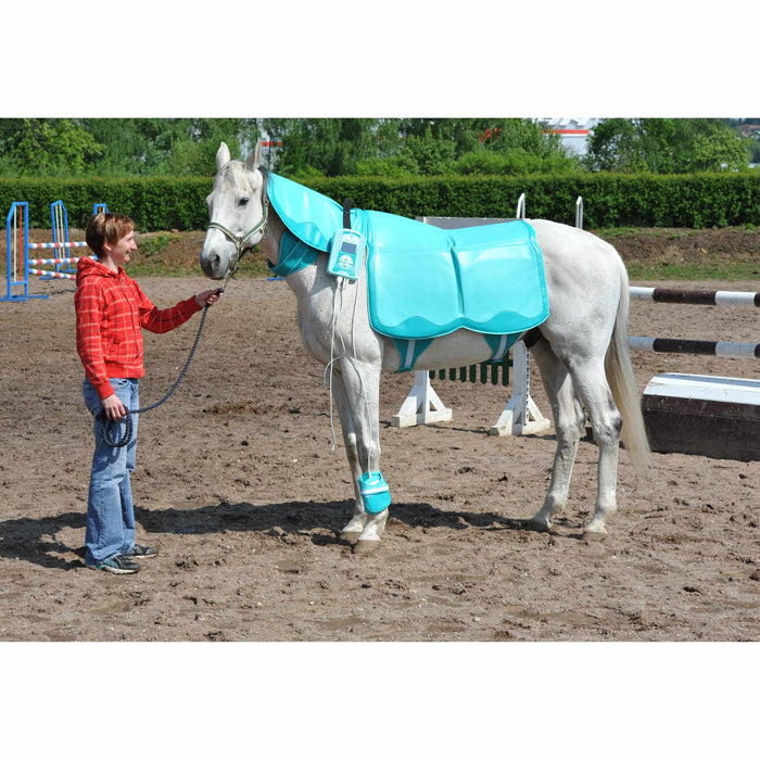 Biomag® PEMF Lumina Vet Comfort (Equine) | bodybud UK