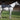 OMI PEMF Horse Complete Pack - OMI | bodybud UK