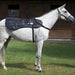 OMI PEMF Horse Package | bodybud UK