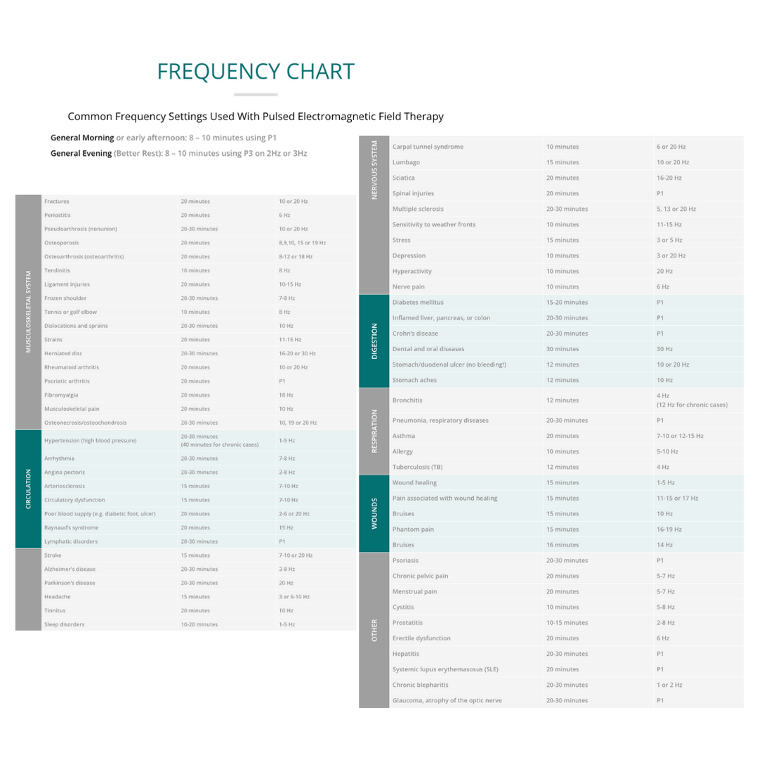 OMI PEMF Therapy Mat bodybud UK Best Seller